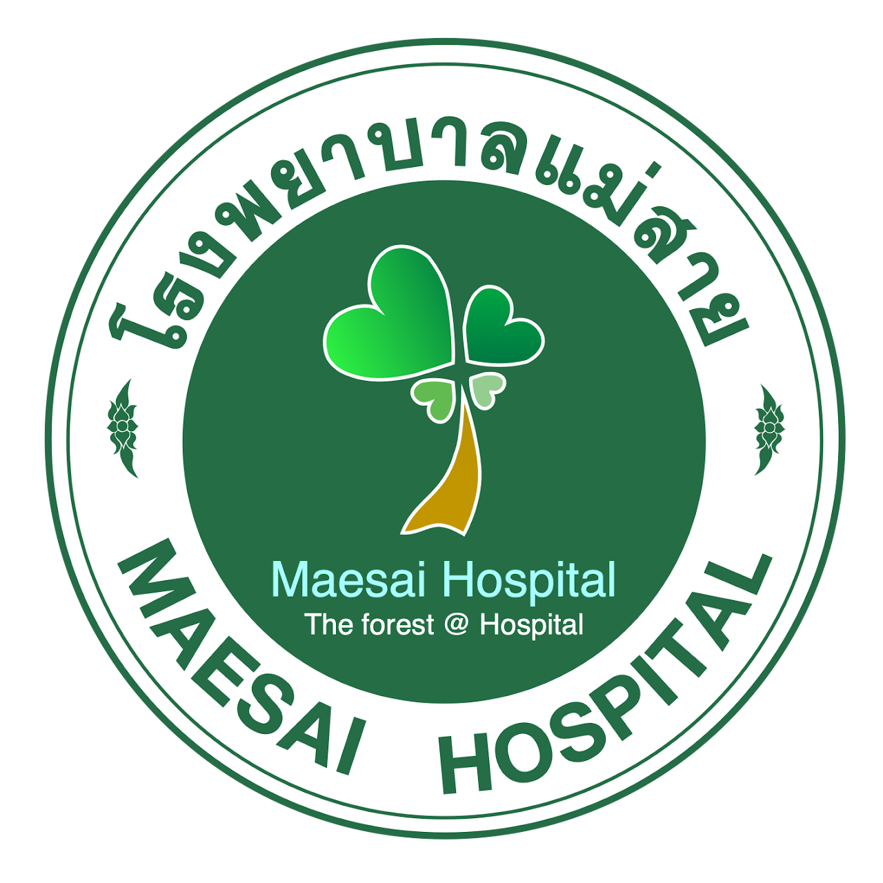 โรงพยาบาลแม่สาย